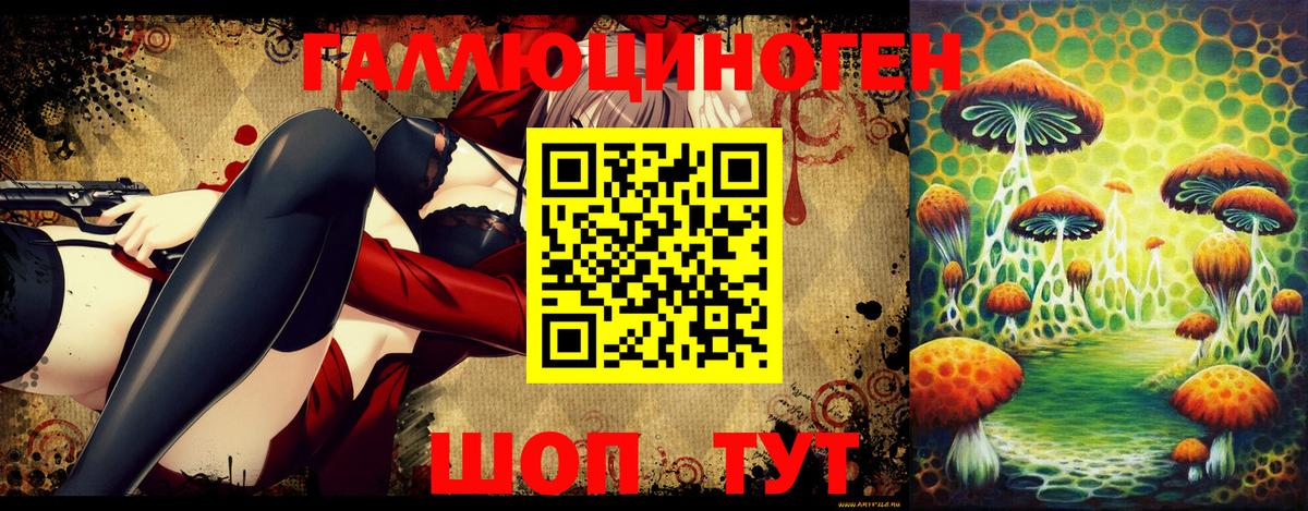 Соликамск  Псилоцибиновые грибы Psilocybine cubensis  Вход с VPN 